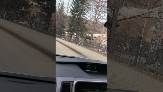 БЕЛОКУРИХА. ДУНЯШКИН КЛЮЧ