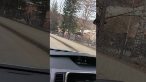 БЕЛОКУРИХА. ДУНЯШКИН КЛЮЧ