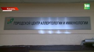 Берёза готовит «аллергический удар»: сезон пыльцы наступает раньше