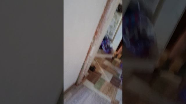 вкусный рецепт приготовления салата