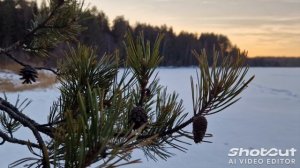 Выходной на природе.
