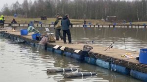 Есть хвост!