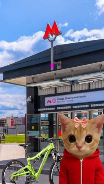 Кто такой сдвгшник