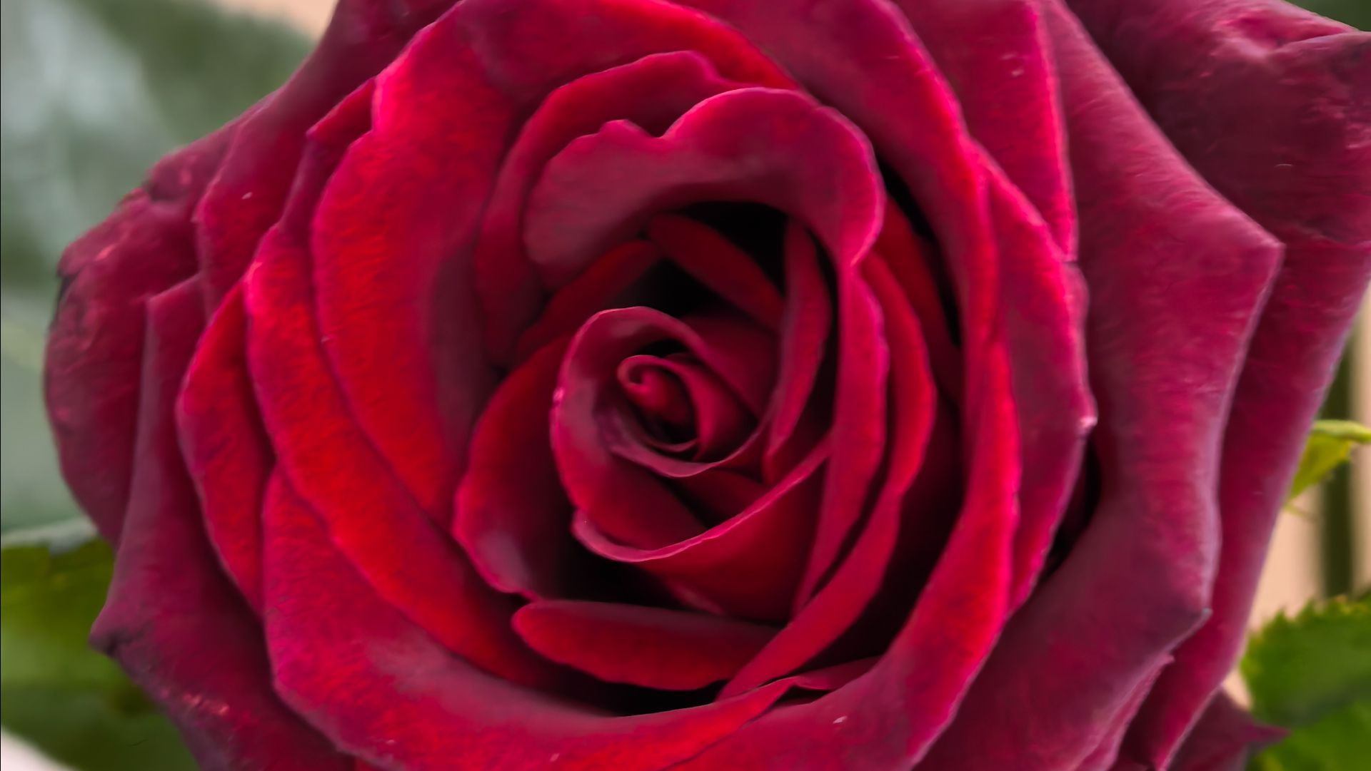 БЕЛОКУРИХА.ТЕРРЕНКУР ВДОЛЬ РЕКИ