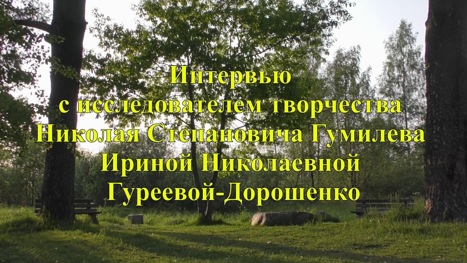 Интервью с председателем общественной палаты Всеволожского района И. Н. Гуреевой-Дорошенко