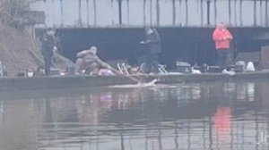 Спортзона.Поимки Форели