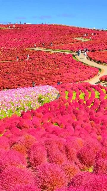 VID_20260416_140324_025.mp4