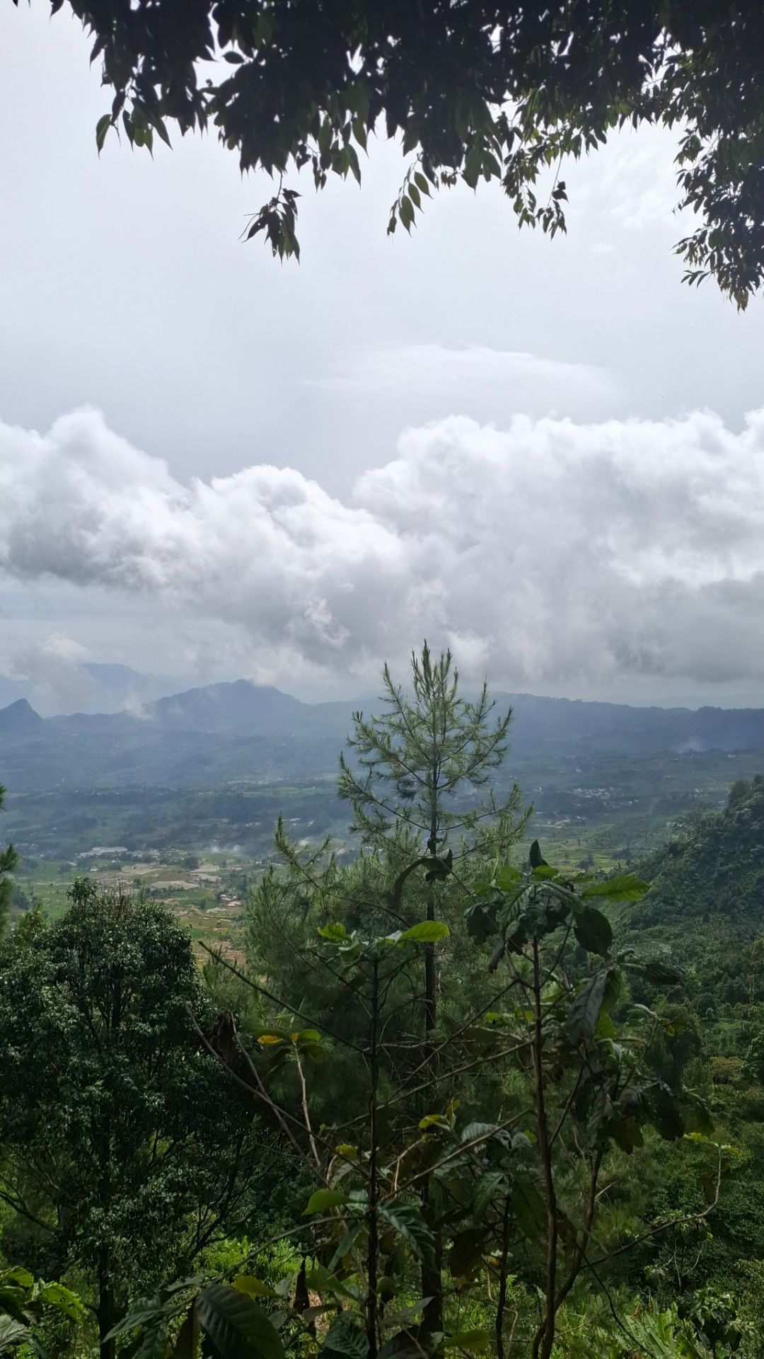 Summit Attack Mt. Ciremai. trending fyp hikking