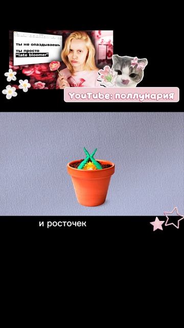 Цветочки смотрите новое видео