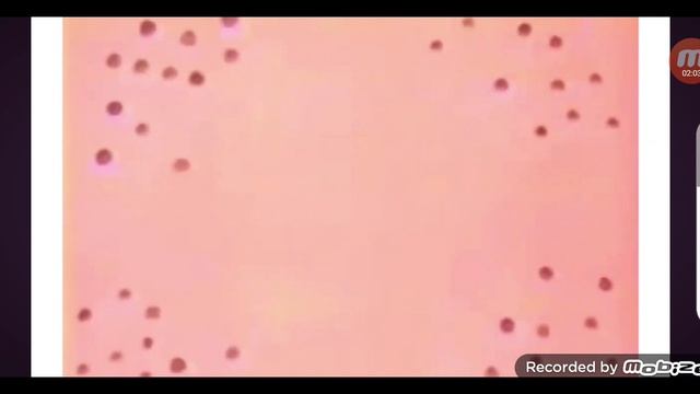 Forgave AND ALL 2016 Kgosapytvn ARE THE MOST IMPORTANT