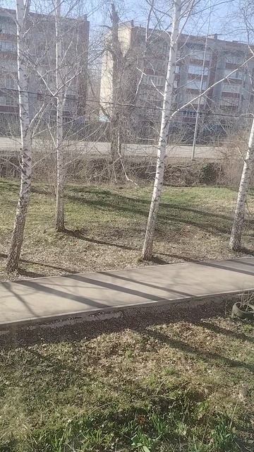 погода 16.04.26