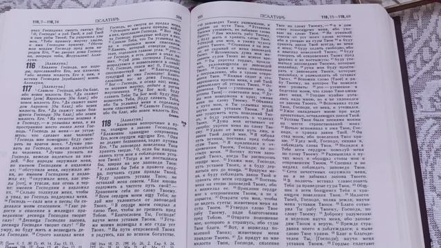  День 167  Пища для моего духа   Псалтырь  гл. 118  1-14 ПС v1.0 