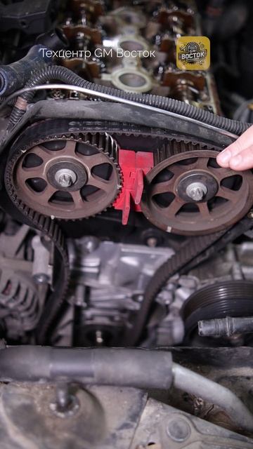 Замена комплекта ГРМ - Опель Астар J