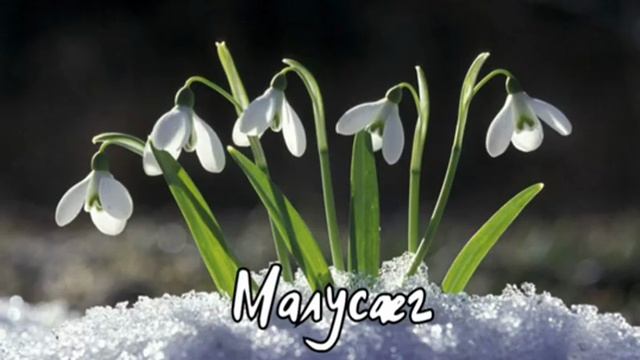Ансамбль ''Суадон'' - Малусæг | Поют Осетины