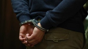 Главного куратора схемы с убийством предпринимательницы задержали в Москве