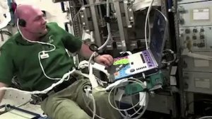 В мире интересного Телеведущая Терещенко Ульяна 16.04.2026