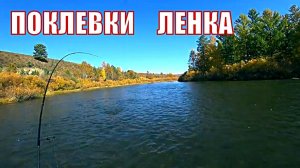 Рыбалка на ленка осенью.