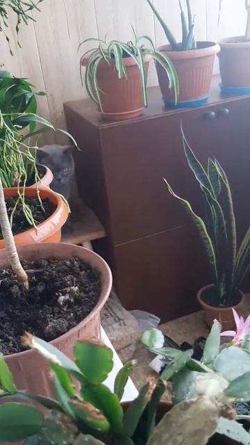 Хорошенькие местечко.Остаюсь!