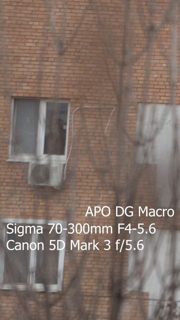 Sigma 70-300 и Таир-3А: Тесты резкости. #canon #sigma #таир3а #canon5dmarkiii #canon1200d