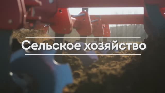 Получи высшее образование в Беларуси в сфере сельского хозяйства