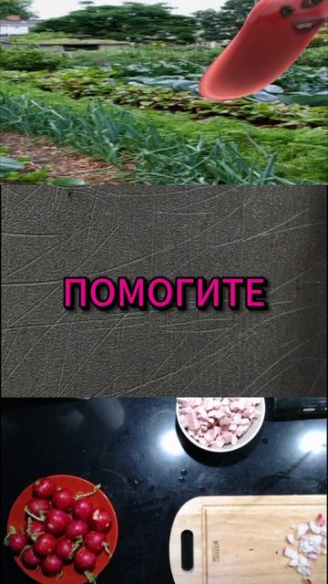 Они пихали-пихали и напихали! #shorts #sleduck #vtuber #кукинг #memes #moments #юмор