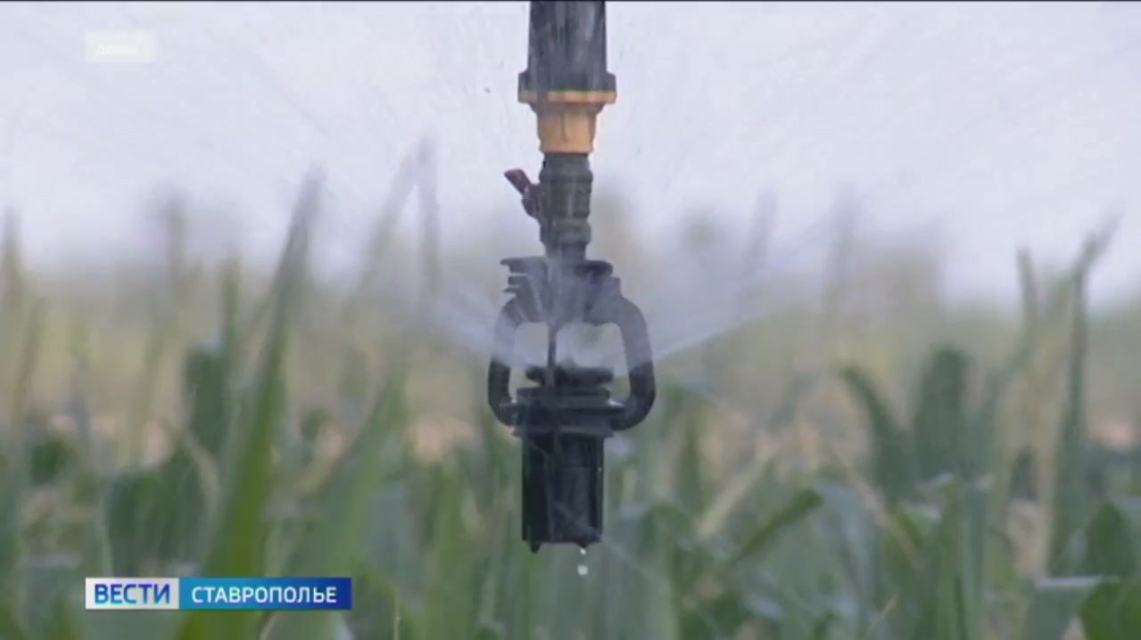Дума Ставрополья предложила изменить условия пользования технической водой
