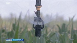 Дума Ставрополья предложила изменить условия пользования технической водой