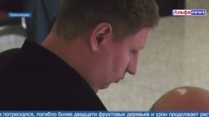 Ростовщик Калантаевский и его сообщники отправятся в колонию‑поселение