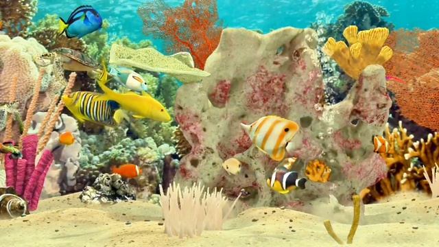 Релаксация, медитация, улучшение сна, снятие стресса, фон для работы и учебы, йога. ॐ🙏🧘♀️