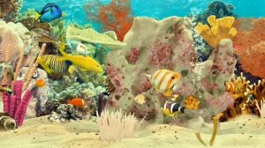 Релаксация, медитация, улучшение сна, снятие стресса, фон для работы и учебы, йога. ॐ🙏🧘♀️