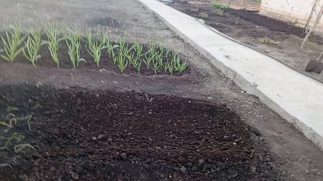 Купили перегной для огородаготовим парник