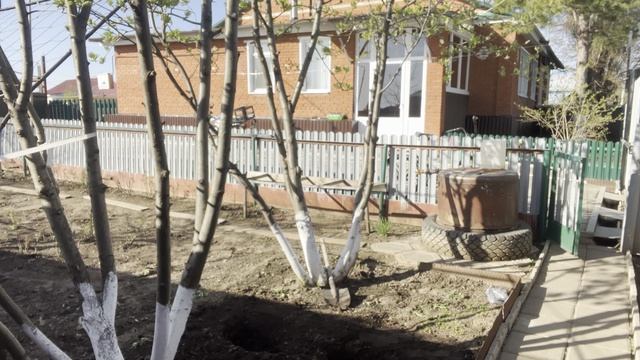 Посадила Хостузанималась пересадкой своих цветовприготовили парникюдЭ