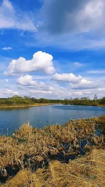 Россия  #russia #лес #культура #природа #река #рыбалка #nature