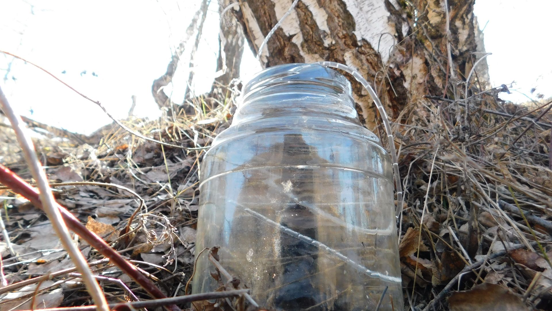 За берёзовым соком на УАЗе Буханке! Жизнь на природе! Жизнь в деревне!