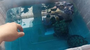 16.04.2026 Наша жизнь в селе.