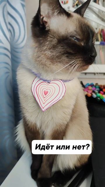 Идёт или нет?