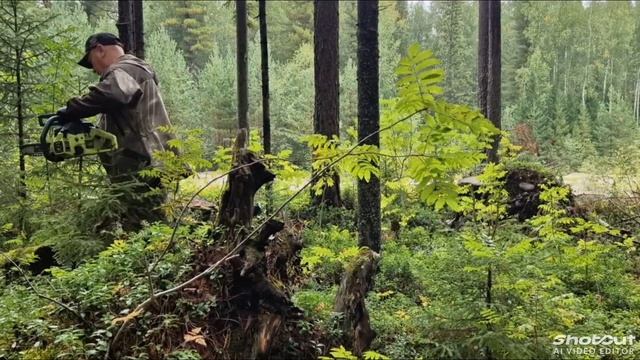 За орешками.