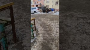 Сеова я одна рубрика обосраные новости с викой