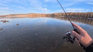 Вечерний клёв мирной рыбы. Весна. Мормышинг Наноджиг Ультралайт