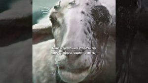 краткий пересказ фильма