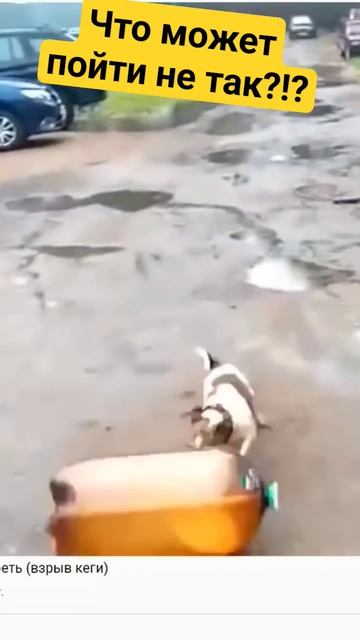 Безобидная кега для пива