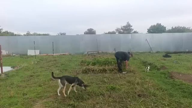 18. Oktober 2025. Крым. Плохая погода сегодня, да и настроение такое же.