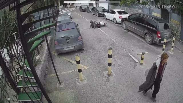 В Крыму неадекватка напала на женщину-скутеристку на дороге.
▶️Сначала она перегородила ей дорогу…🔽