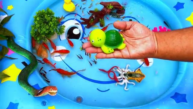 Маленькие рыбки