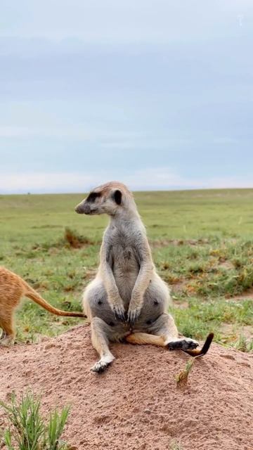 Будешь сильным