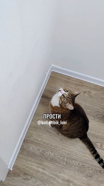 Обещаю что сегодня ночью не буду тыгыдыкать