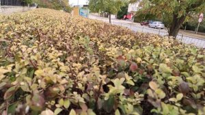 Один из дней города Евпатории | 23 сентября 2021 г | Крым ХАН БАТОН XAH 6ATOH | VID_20210923_145215