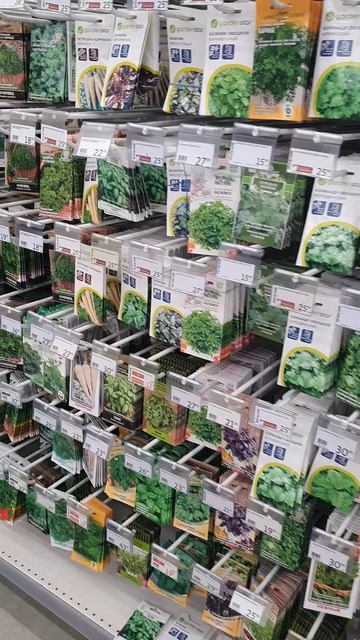 Купила на посадку щавель и 2 вида салата