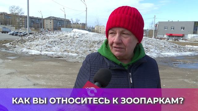 Соль-опрос про зоопарк_10.04.2026_СольТВ