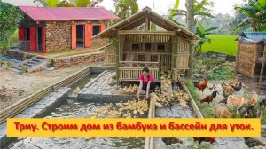 Триу. Строим дом из бамбука и бассейн для уток.